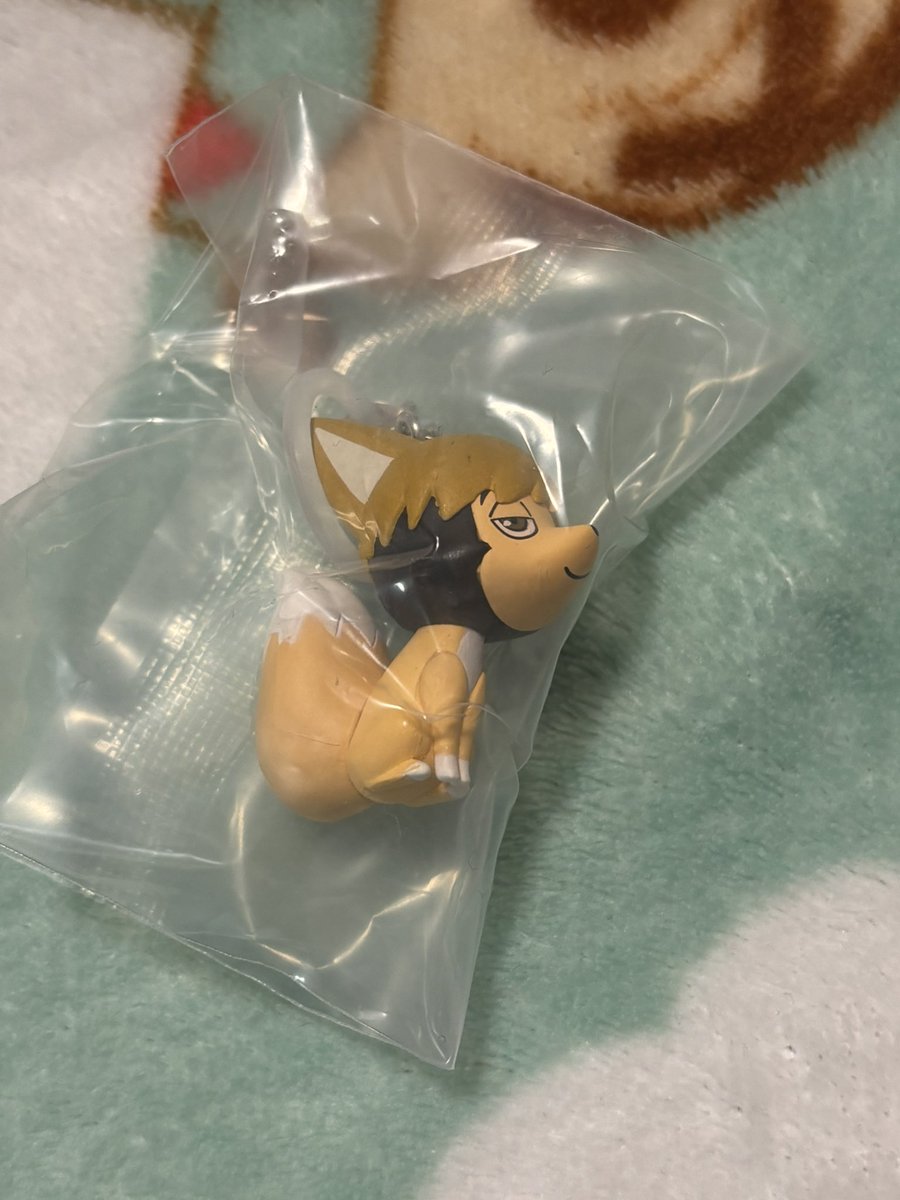 ひじり tweet media