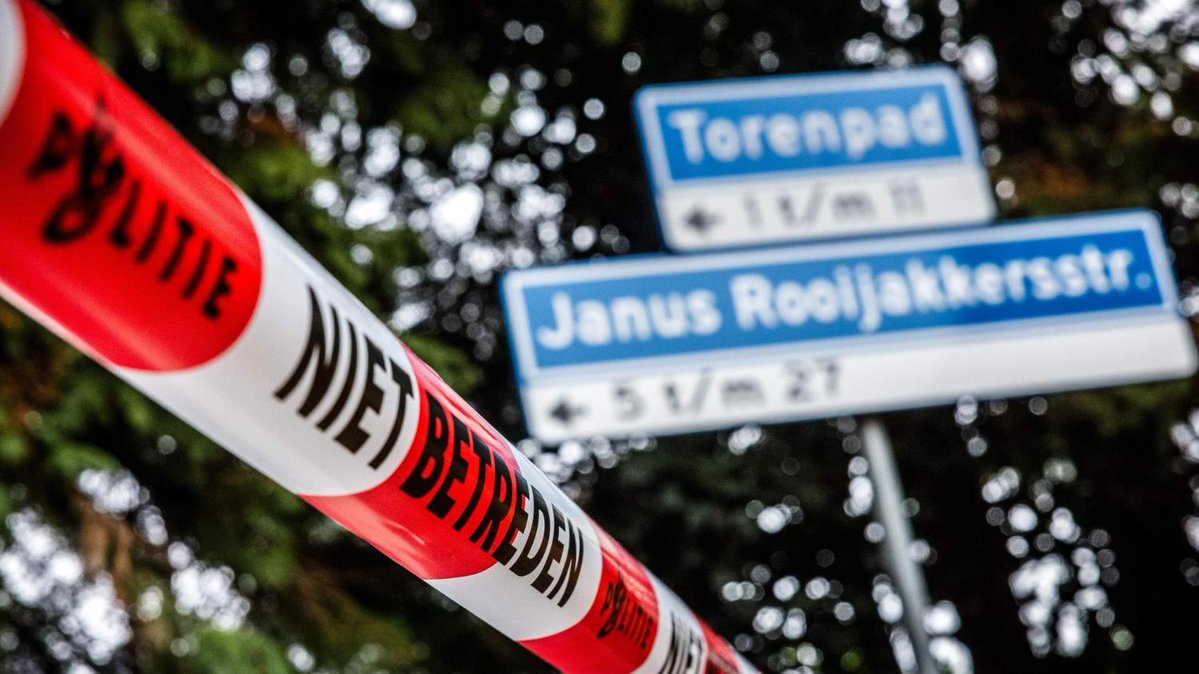 De Telegraaf tweet media