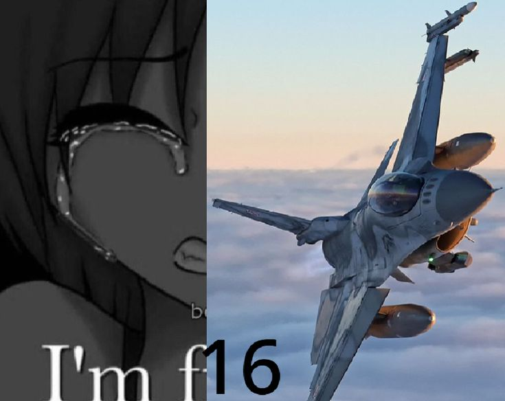 𝙍𝙐𝙄𝙎 🇺🇸 tweet media