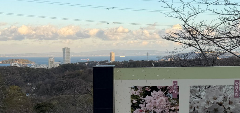 JI1IZS / Rick tweet media