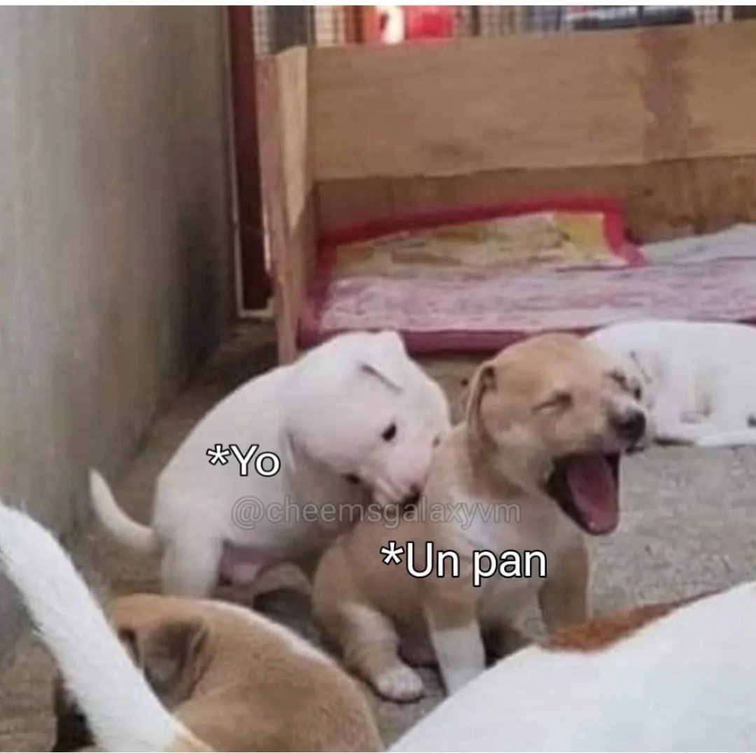 Animalitos en aprietos. tweet media