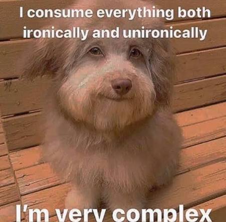 айрін 🦭 tweet media