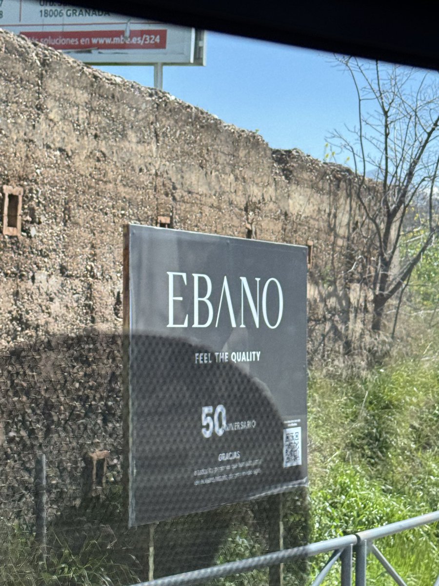 Vera 🧽 tweet media