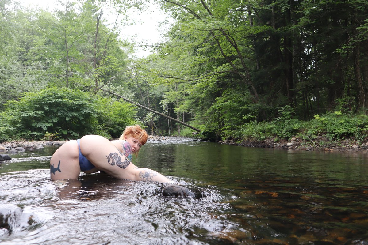 🦈FatherShark🦈 tweet media