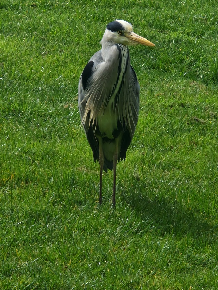 Joan Smith tweet media