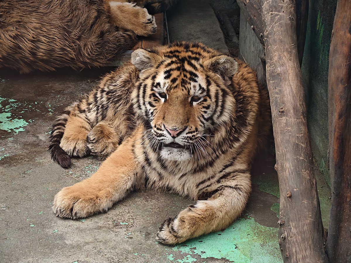 Three meals a day is easy, three meals a day including breakfast is difficult.