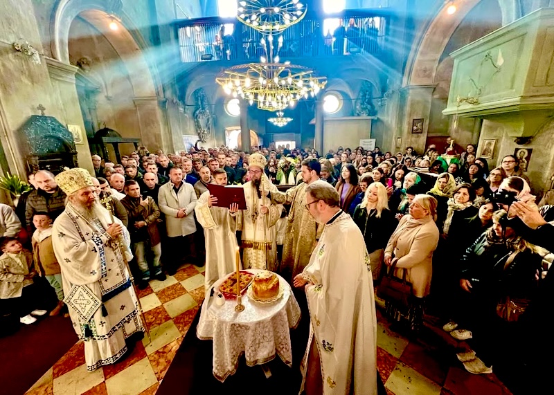 David Ninov tweet media