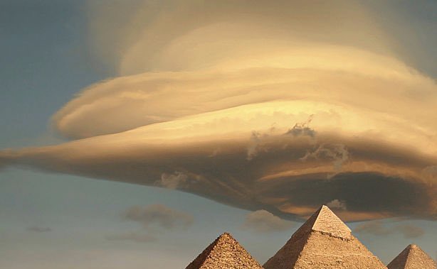 This is world tweet media