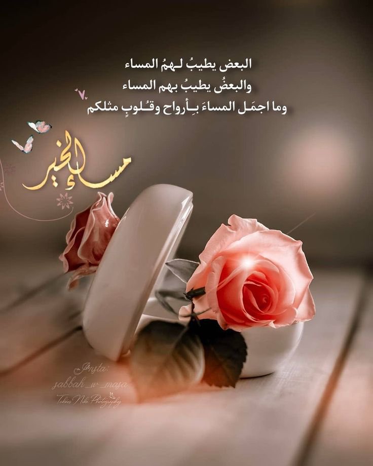 هيفاء الماضي tweet media