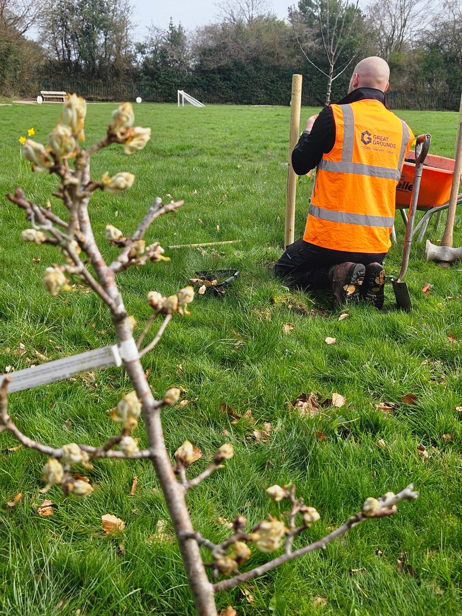 Great_Grounds's tweet photo. We had a fantastic morning at St Filumena's Primary School #Caverswall where our team planted 7 fruit trees. Do you have an idea for improving your school grounds but need support to make it happen? Get in touch! Find out more here
https://t.co/13jKQgt8eP 
#staffordshireschools https://t.co/bmUdr7lRL6