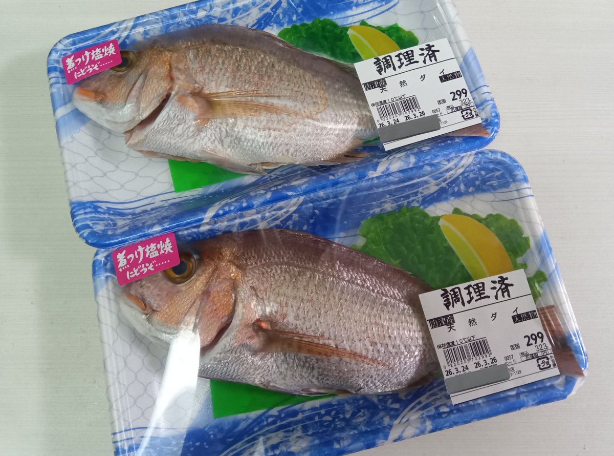 朝戸 🦔🦔 tweet media