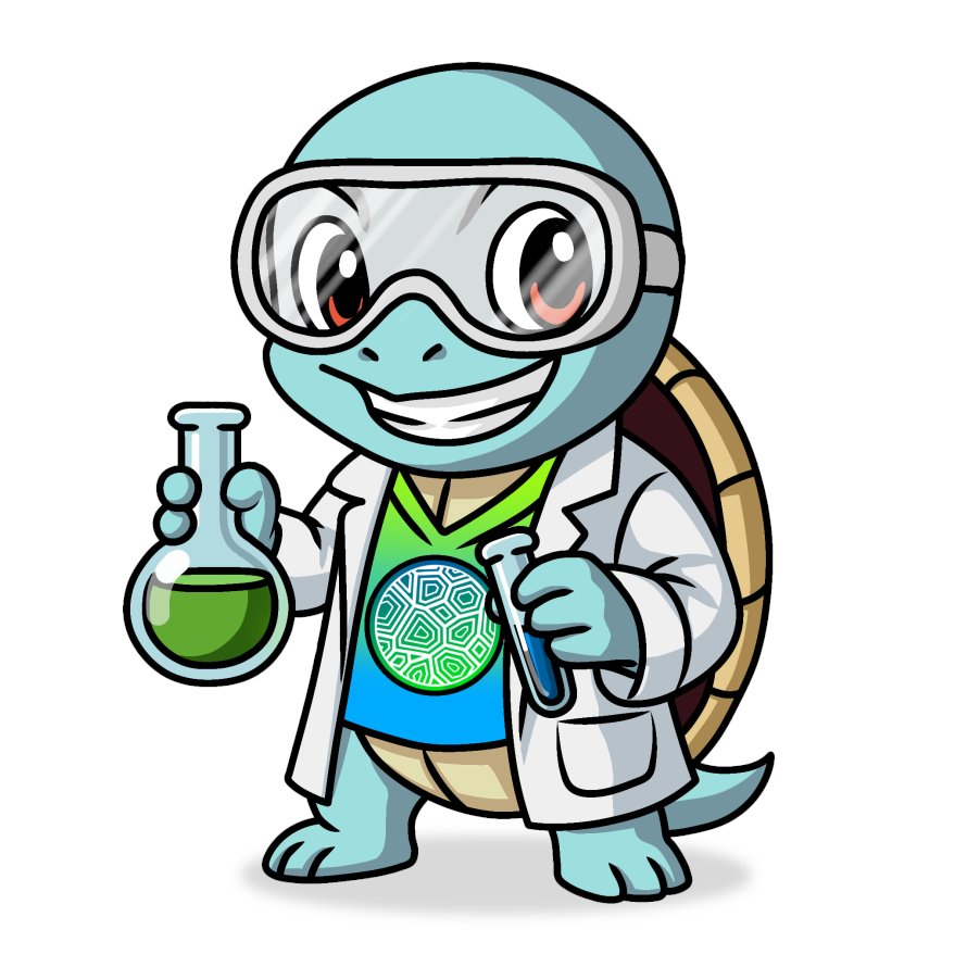 Turtle Labs NFTs tweet media