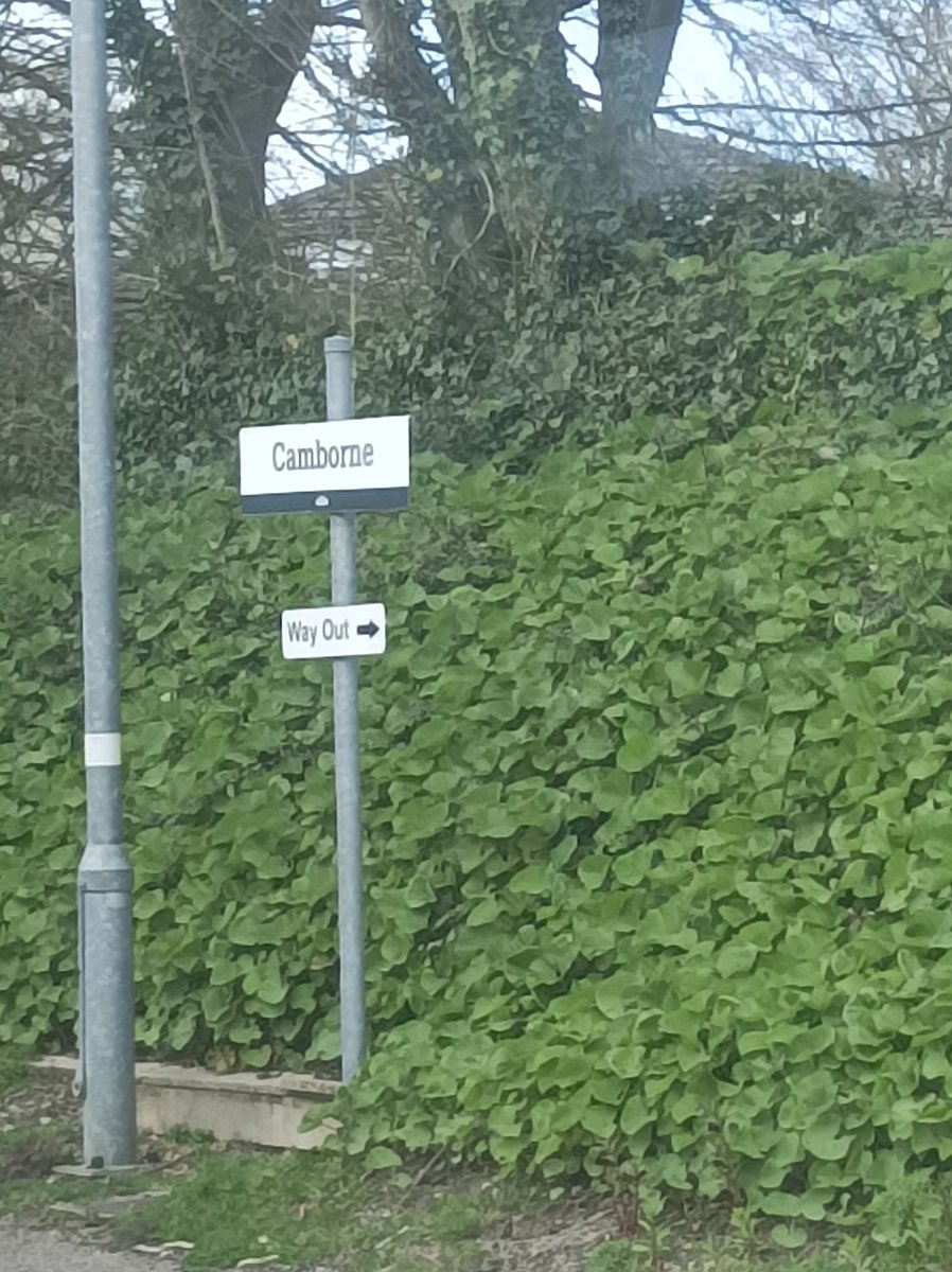 Francis Potts tweet media