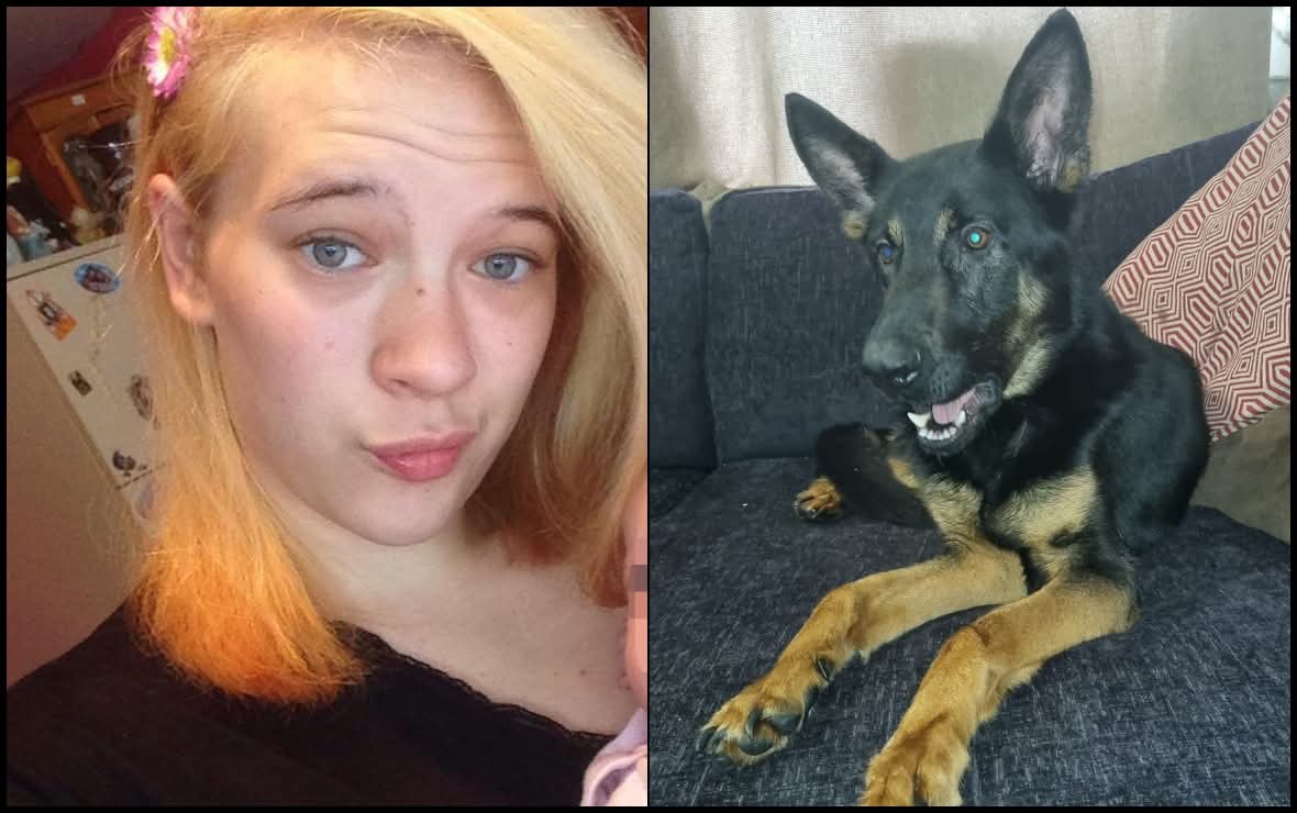 Steve Perkins tweet media