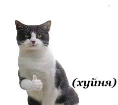 Паняночка в шортах tweet media