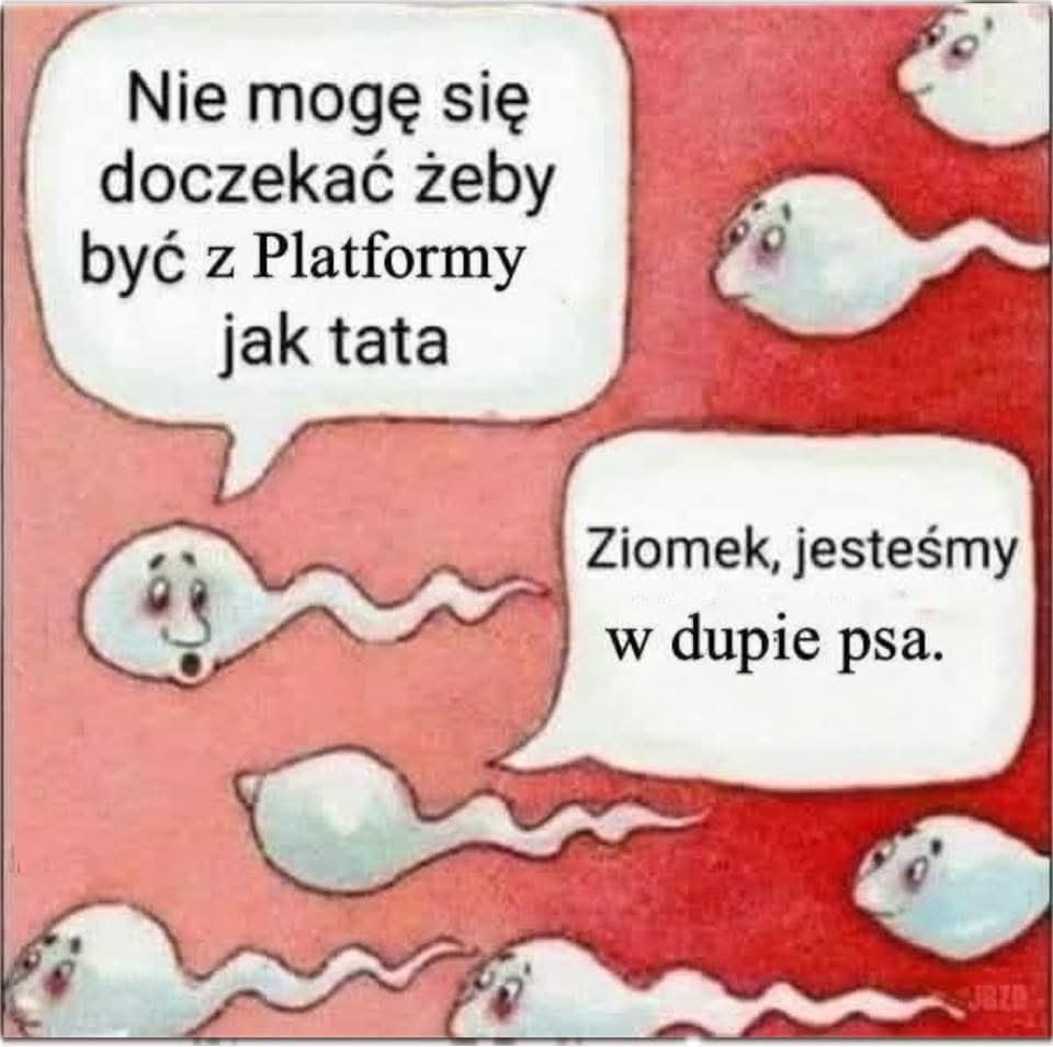 F-35 🛬 🇵🇱 tweet media