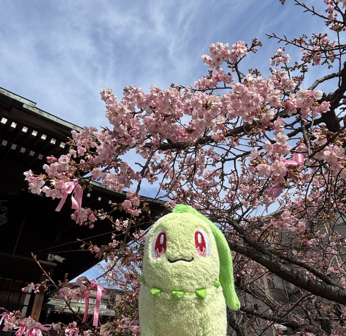 🌱🍓 tweet media