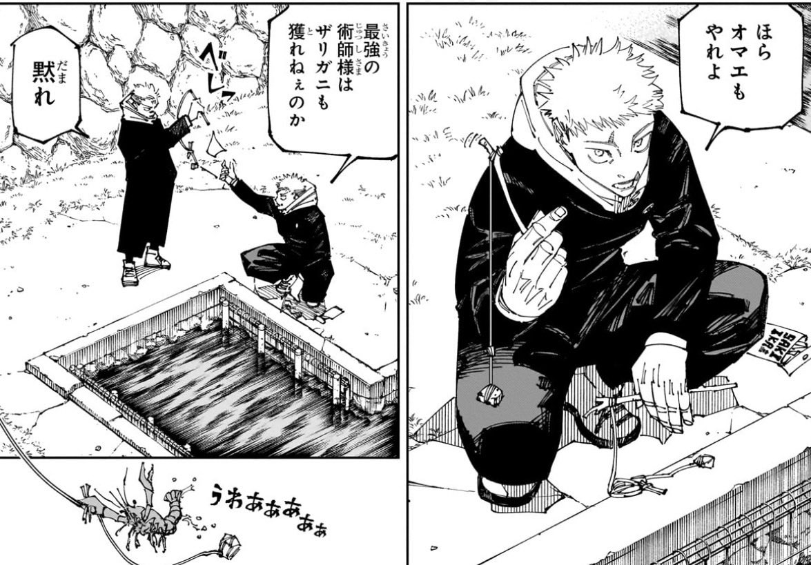 まぁこぅーらぁ tweet media