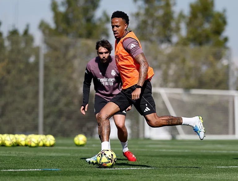 Silky Bee tweet media