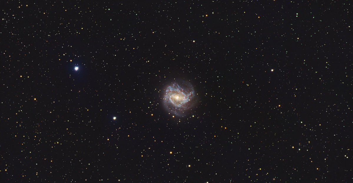 たるが tweet media