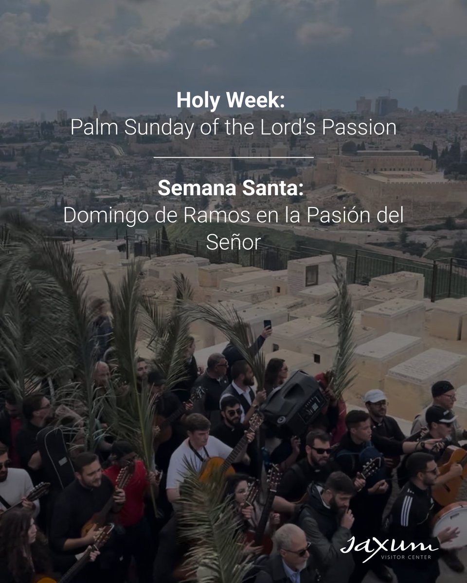 Saxum Visitor Center (ES) tweet media