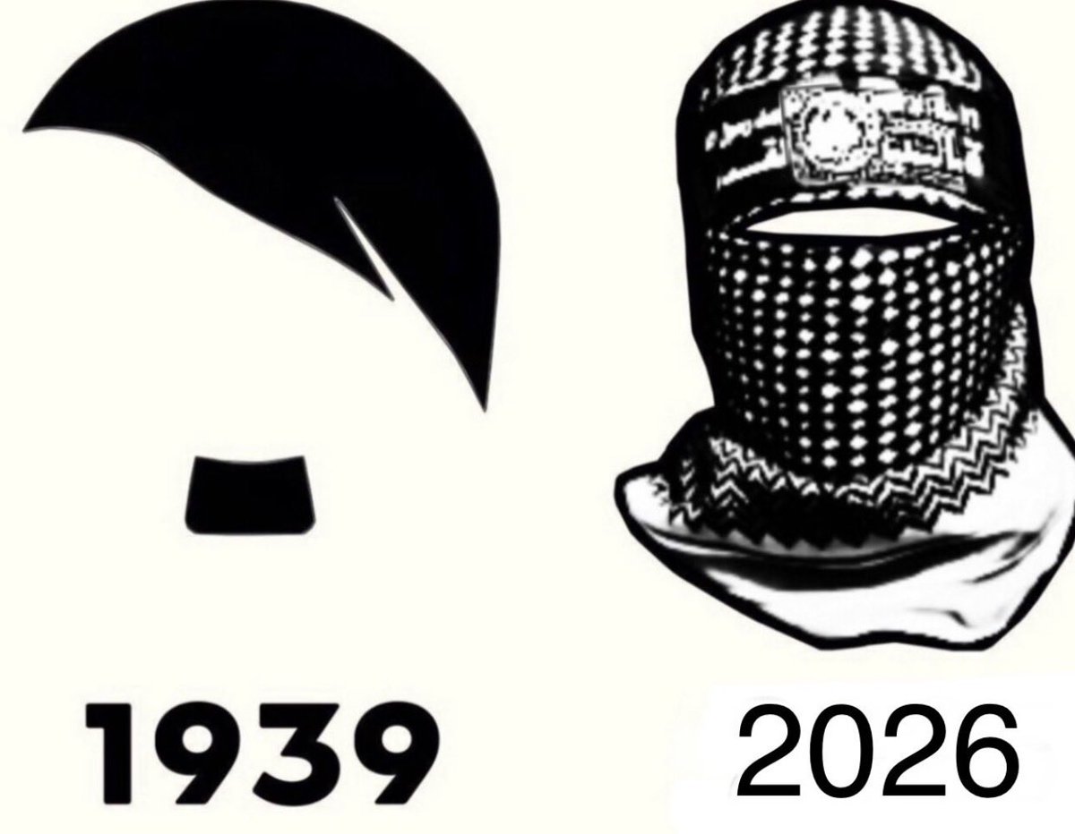 Liza Rosen tweet media