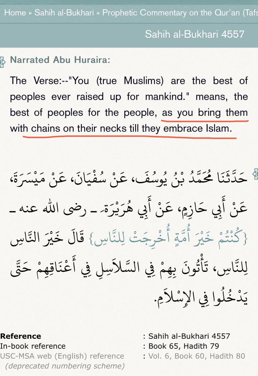 Ex-Muslim Testimonies 🇳🇱 tweet media