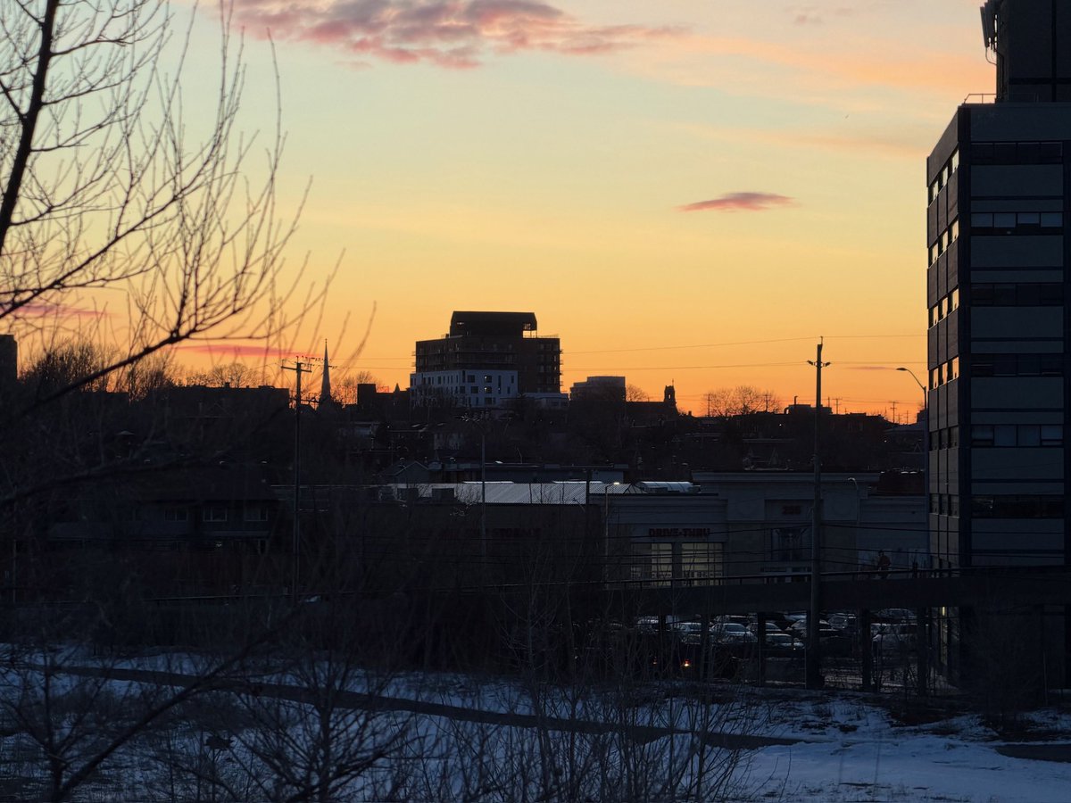 Mark Sutcliffe tweet media