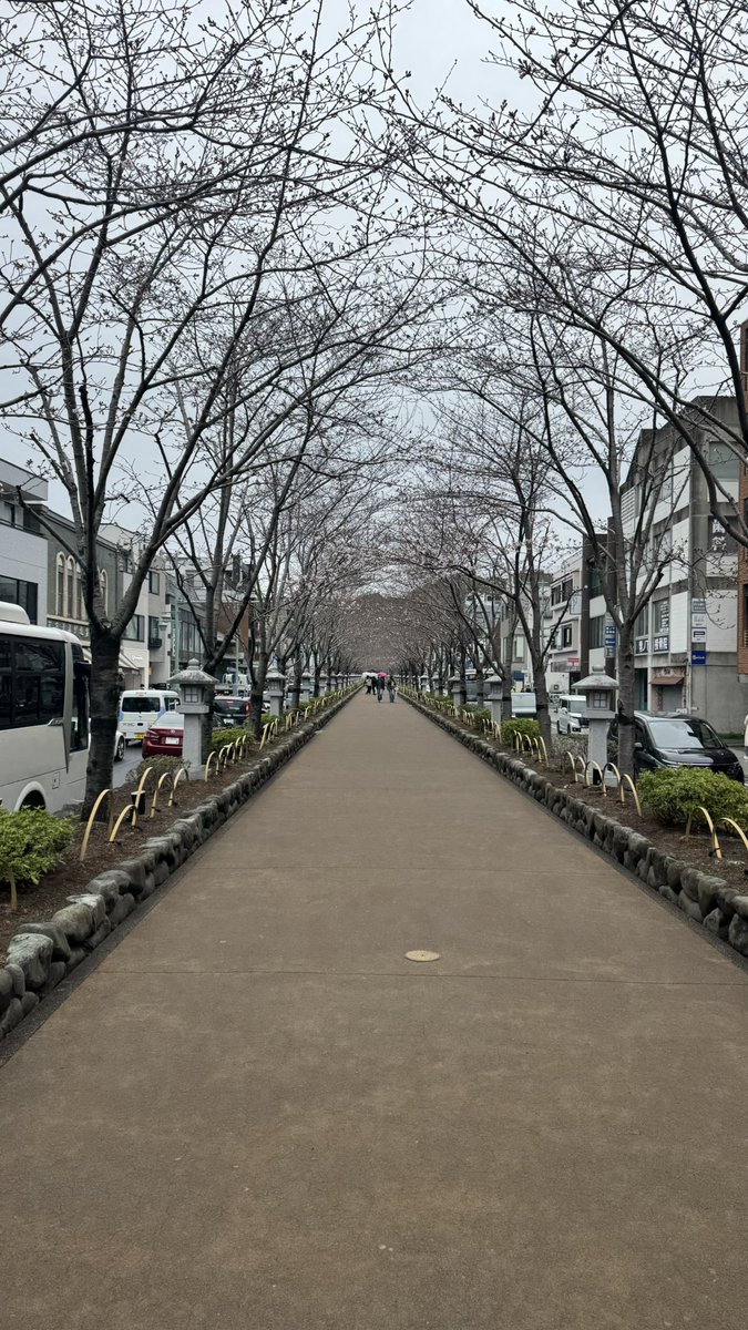 キャサ夫👀 tweet media