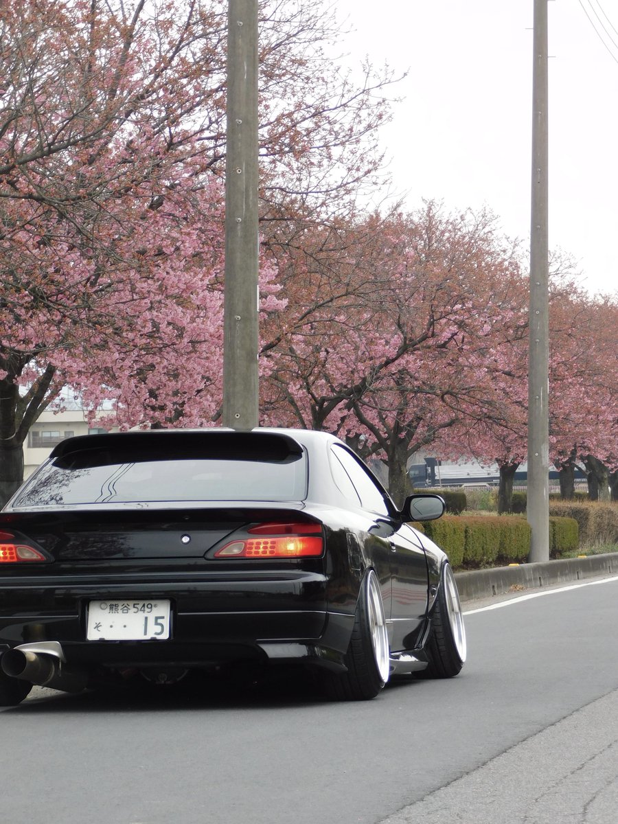 ｼｮ~ﾔ tweet media