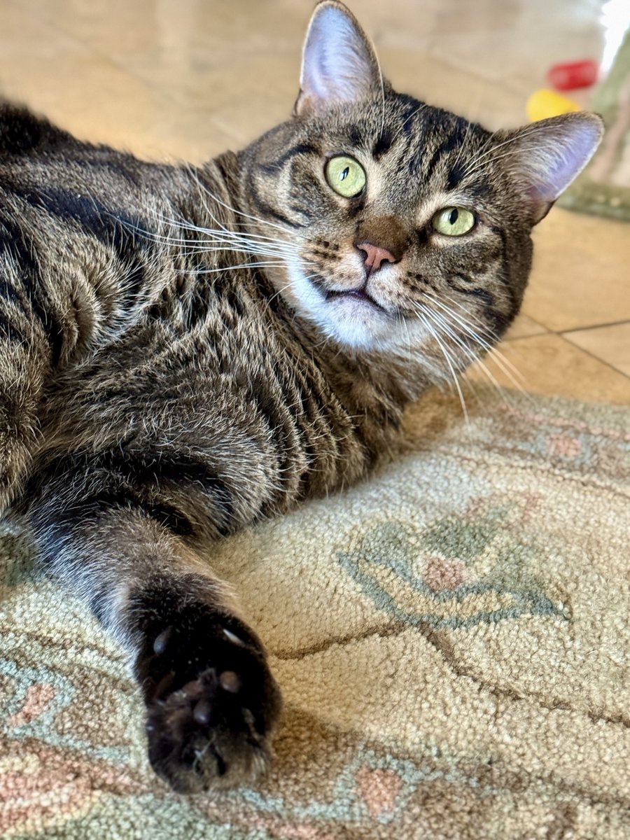 For the love of Missy. tweet media