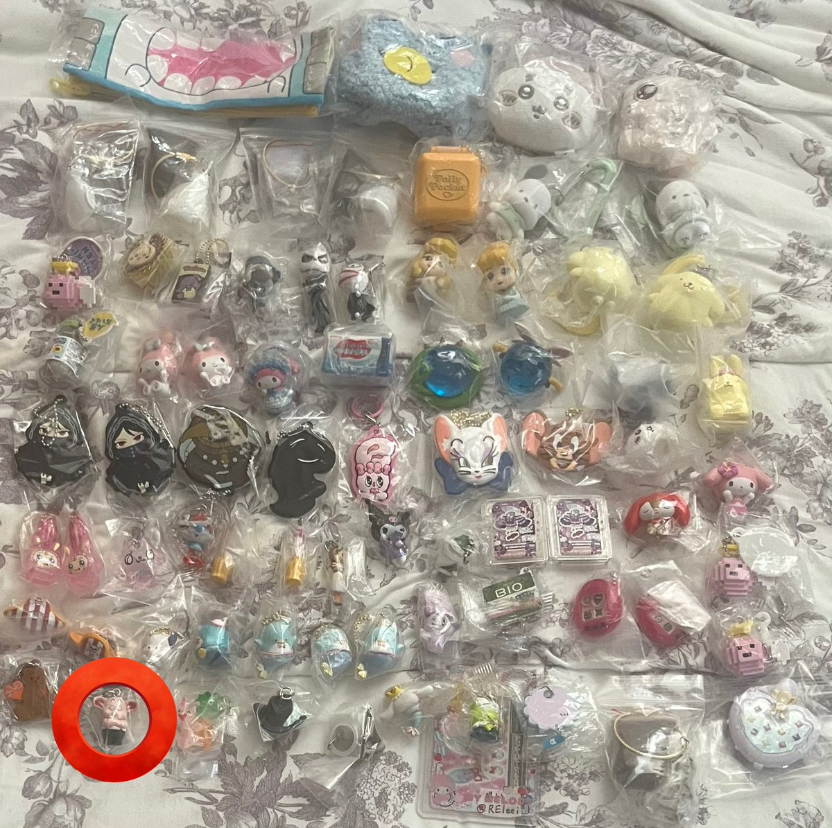 まいまいちやん(´ﾟωﾟ`) tweet media