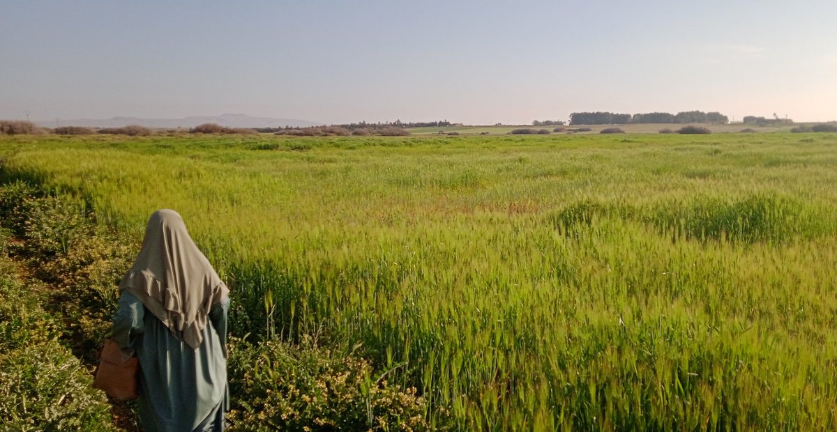 🇩🇿 قےـادة 🇩🇿 tweet media