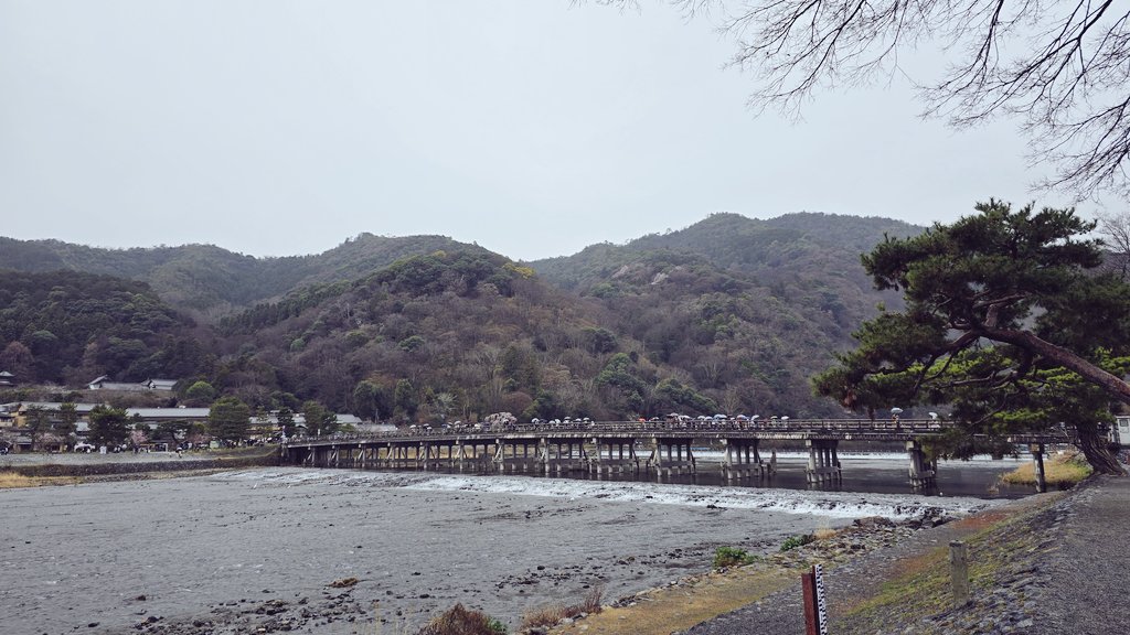 matsu_tp's tweet photo. そして今日は1日休みをもぎ取って、1人京都旅をしてきました！

スーパーリフレッシュ！！✨✨
明日からまた頑張ります🔥 https://t.co/fhnKeDEO7W