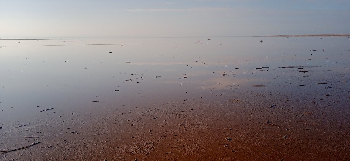 🇩🇿 قےـادة 🇩🇿 tweet media