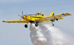 مشعل النامي tweet media