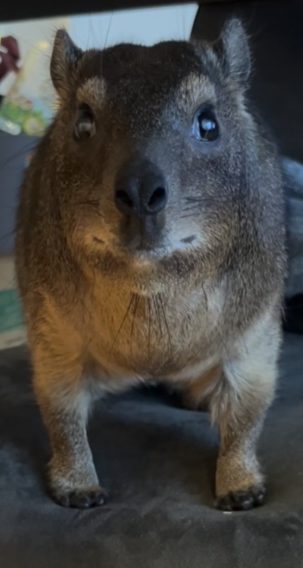 HunterC000L tweet media