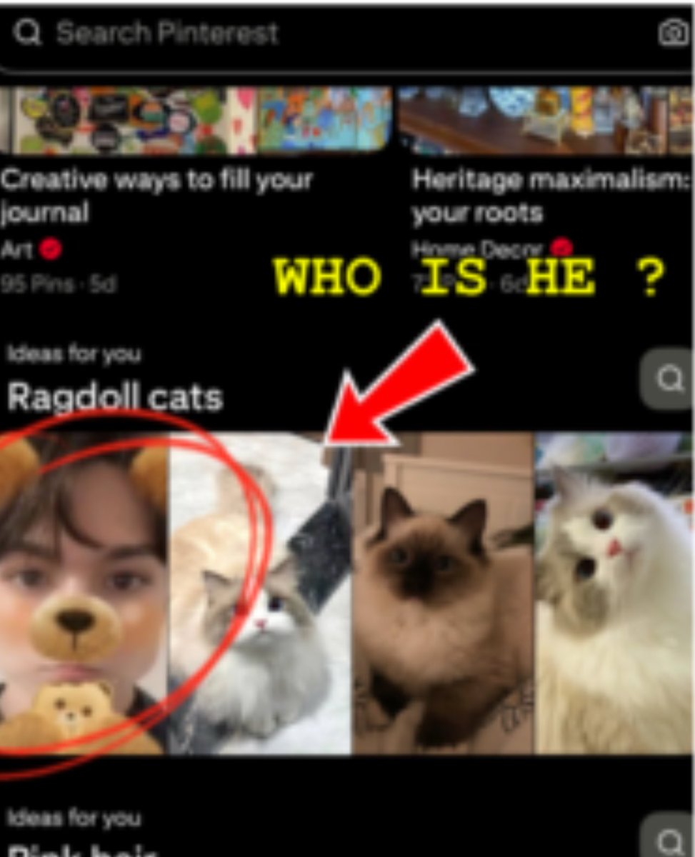 breadpapers tweet media