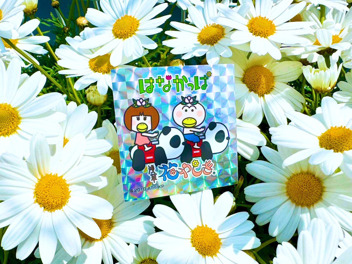 はなかっぱ tweet media