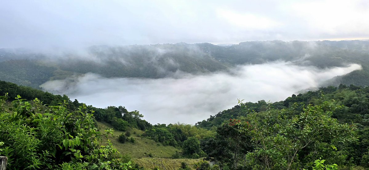 Norma Ortiz Rodriguez tweet media