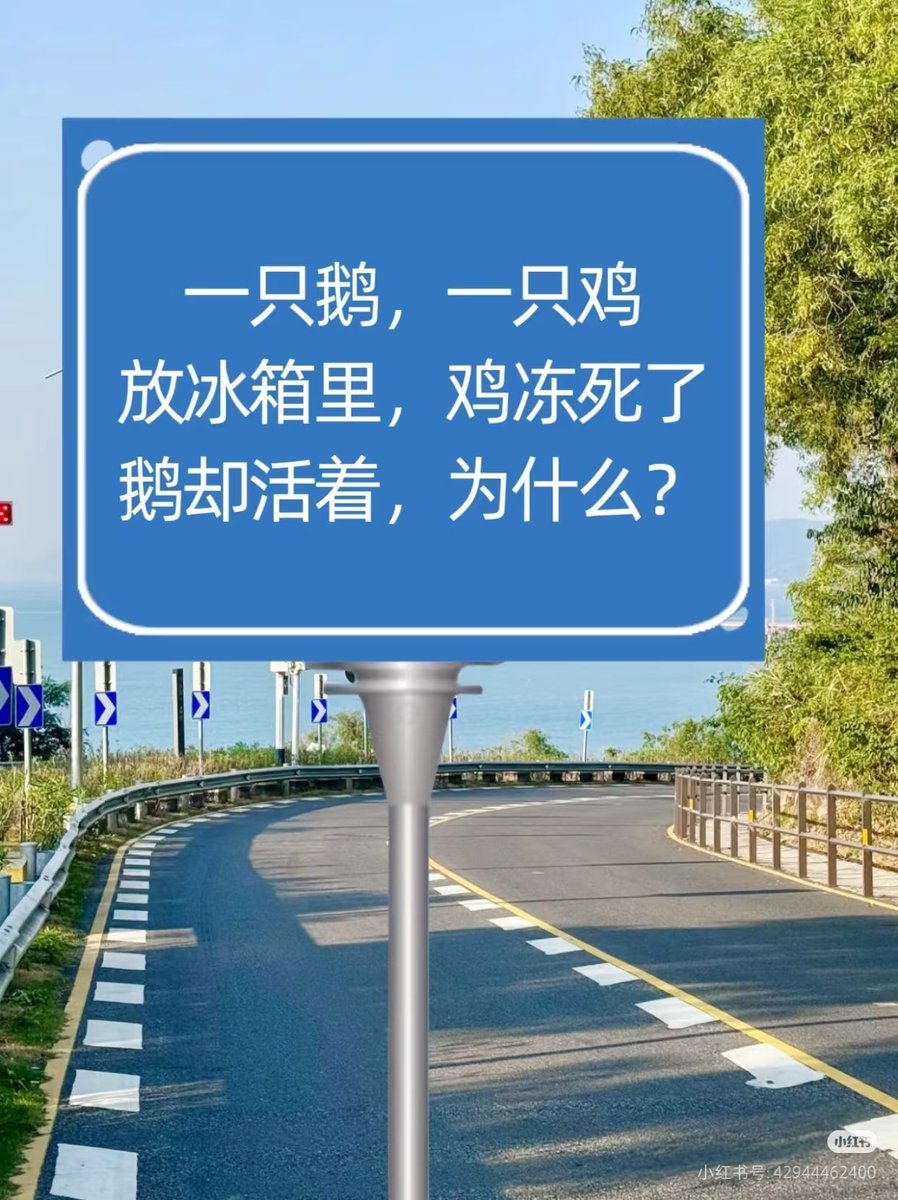 mushroom🌸 tweet media