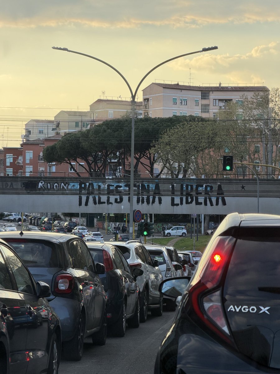 Federiko tweet media