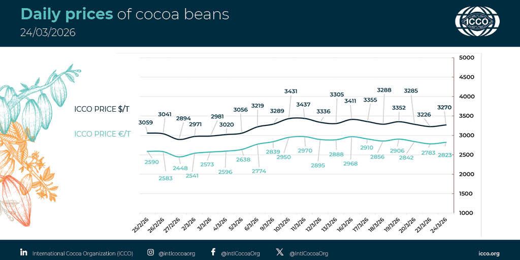 International Cocoa Organization (ICCO) tweet media