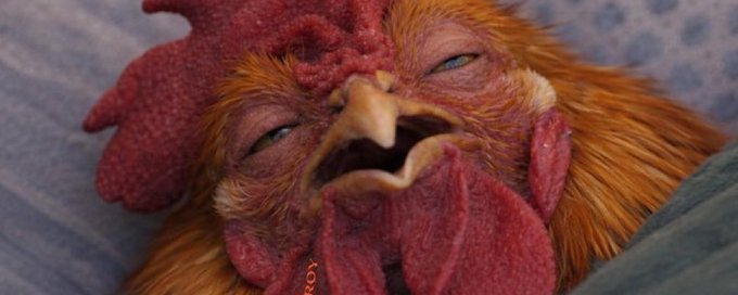 Flash.69 tweet media