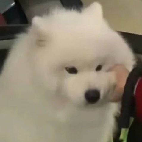 มุ้ tweet media