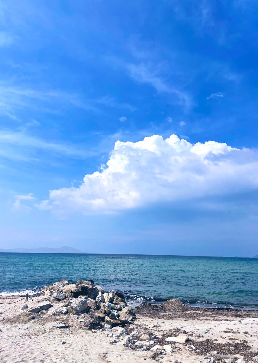 D.C.7🌊 tweet media