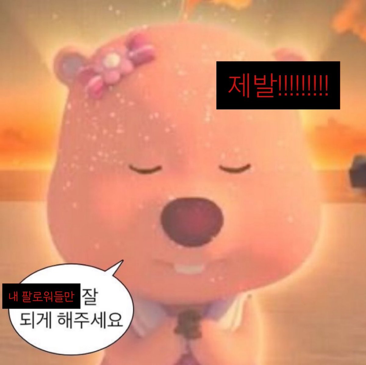 안유명한 tweet media