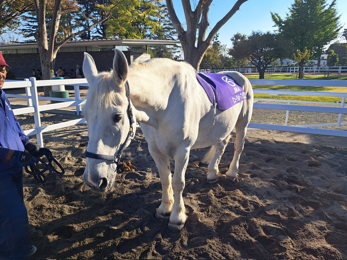 バウムクーヘン　アイカツ！霧矢あおい&紫吹蘭&神崎美月&桜庭ローラ&香澄夜空&香澄真昼&湊みお推し tweet media