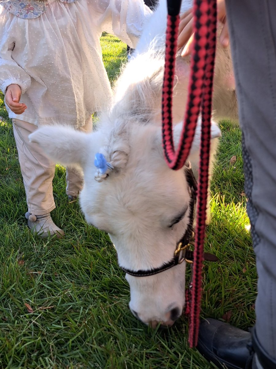 バウムクーヘン　アイカツ！霧矢あおい&紫吹蘭&神崎美月&桜庭ローラ&香澄夜空&香澄真昼&湊みお推し tweet media