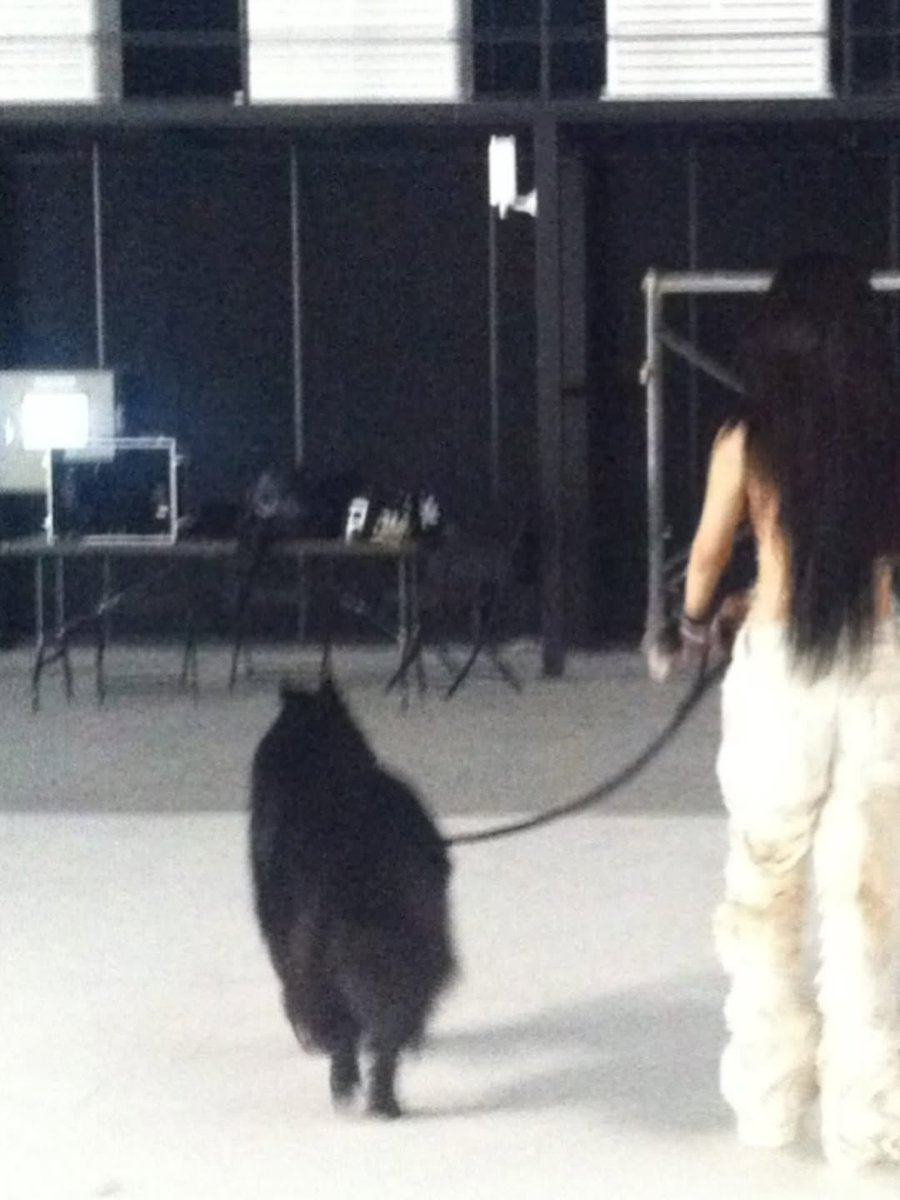 aespa pics tweet media